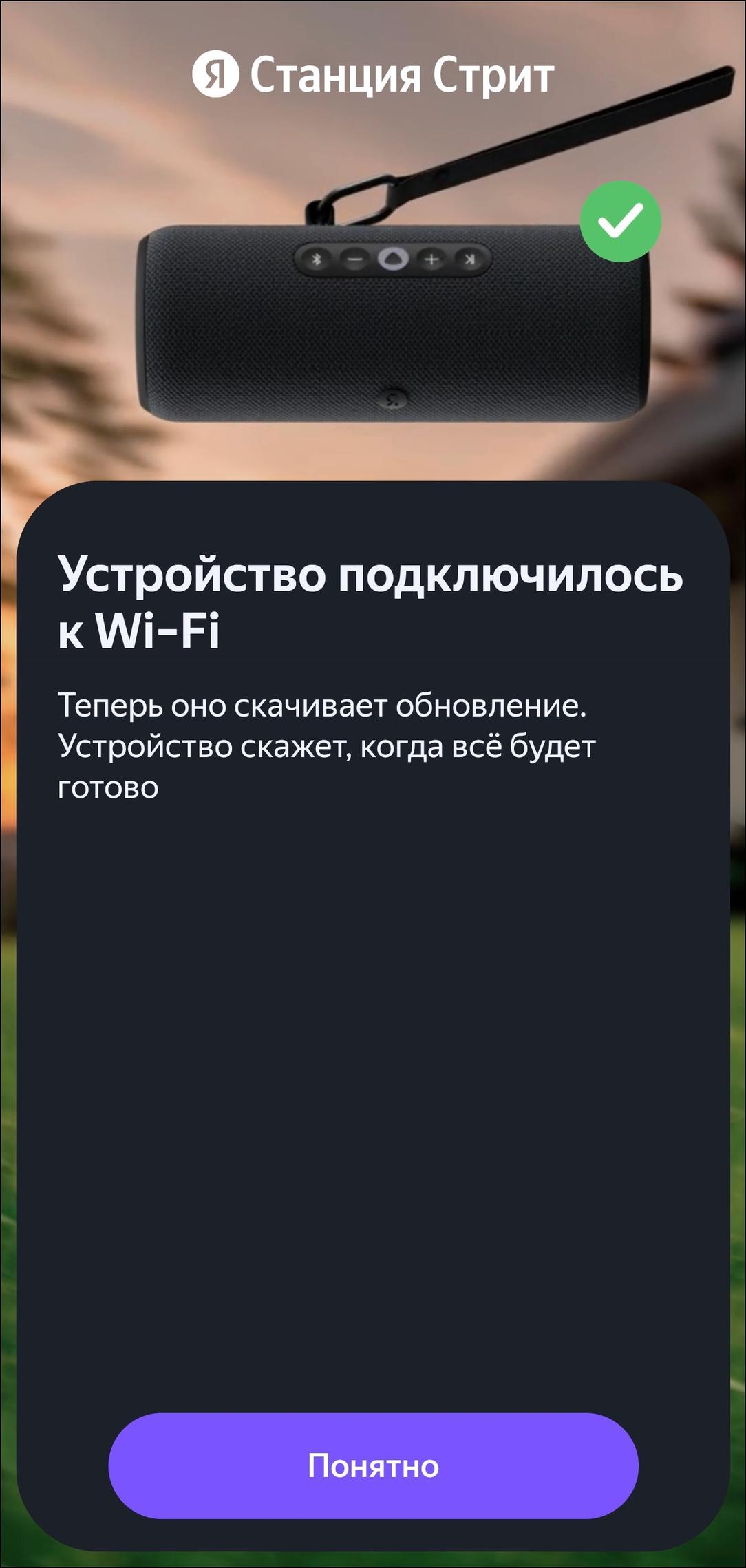 Портативная колонка «Яндекс Станция Стрит»:, фото 20