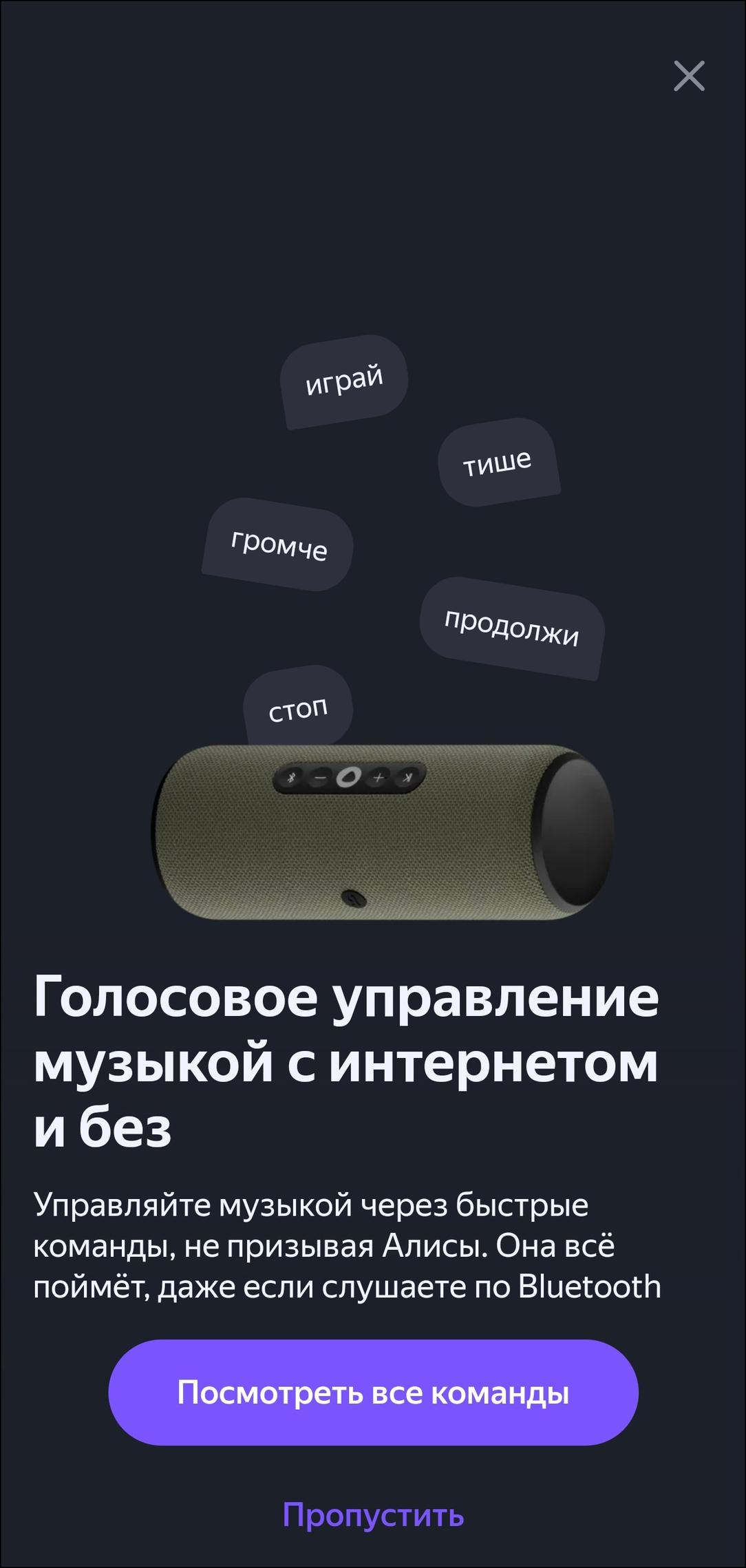 Портативная колонка «Яндекс Станция Стрит»:, фото 21