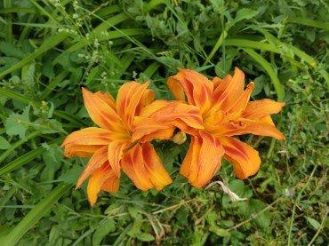 Смартфон Tecno Spark 40 Pro:, фото 40