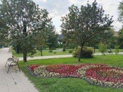 Смартфон Tecno Spark 40 Pro:, фото 52