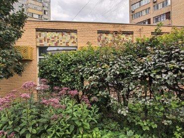 Смартфон Huawei Pura 80:, фото 36
