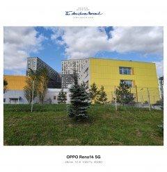 Смартфон Oppo Reno14 5G:, фото 51