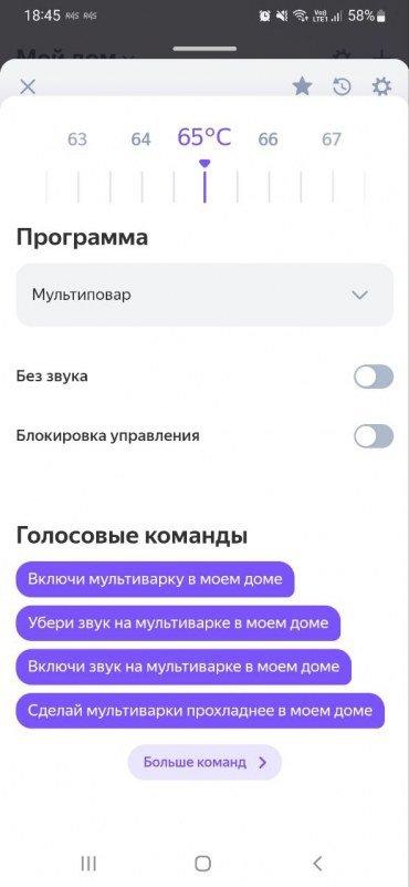 Мультиварка Redmond («Редмонд») SkyCooker MC124S:, фото 38