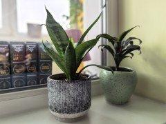 Смартфон-раскладушка Huawei Mate X7:, фото 55