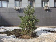 Смартфон Samsung Galaxy S26 Ultra:, фото 55