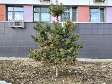 Смартфон Realme C85 Pro:, фото 35