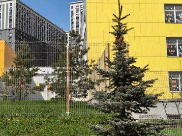 Смартфон OnePlus Nord 6:, фото 57