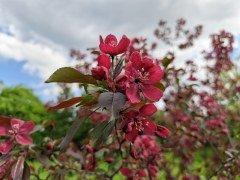 Смартфон Honor 600 Pro:, фото 40