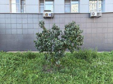 Смартфон Huawei Pura 90s Pro Max:, фото 57