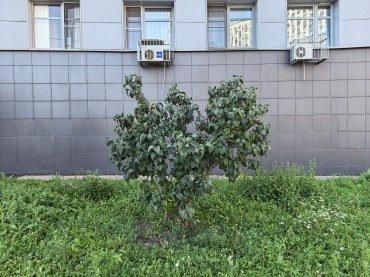 Смартфон Huawei Pura 90s Pro Max:, фото 56
