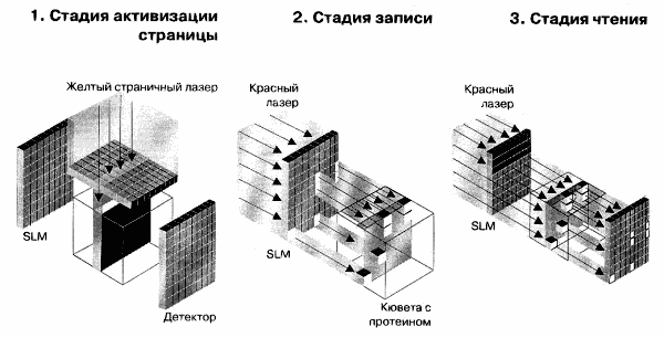 Два направления создания памяти будущего, фото 2