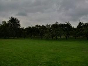 Смартфон BlackBerry Z30:, фото 6