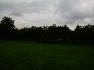 Смартфон BlackBerry Z30:, фото 5