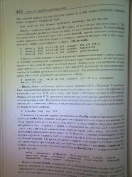 Фотографии c телефона Cat B100