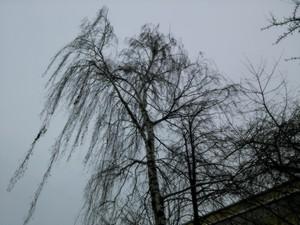 Acer Liquid S2:, фото 31