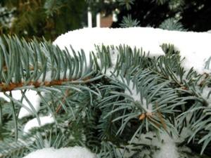 Acer Liquid S2:, фото 36