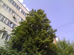 Смартфон Beeline E600:, фото 24