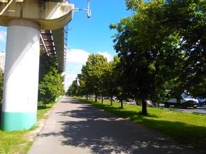 Смартфон BLU Win HD LTE на Windows Phone:, фото 2