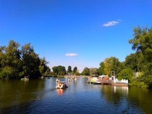 Смартфон BLU Win HD LTE на Windows Phone:, фото 6