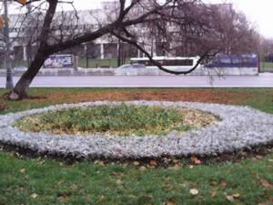 Смартфон BQ Berkeley (BQS-3552):, фото 25