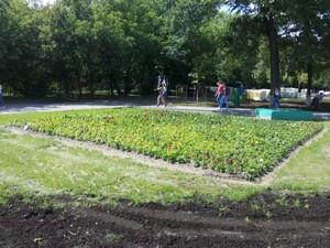 Смартфон Fly Evo Energy 4:, фото 29