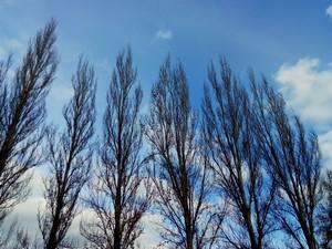 Смартфон Fly Luminor IQ453:, фото 24