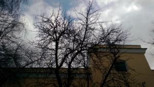 Смартфон HTC One (M8):, фото 43