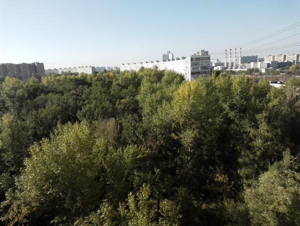 Cмартфон Huawei Honor 6:, фото 24