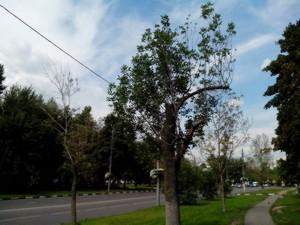 Смартфон Lenovo A660:, фото 6