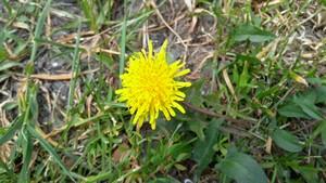 Смартфон Lenovo P90:, фото 30