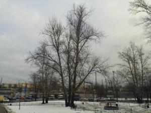 Смартфон LG G Flex с изогнутым экраном:, фото 20