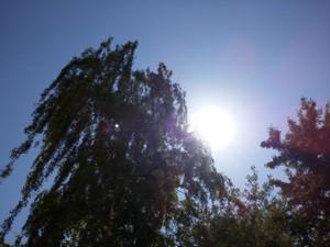 Планшетофон LG G Pro 2:, фото 29