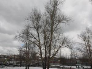 Смартфон LG G2 mini:, фото 28