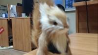 Смартфон LG G3:, фото 60