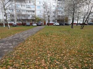 Смартфон LG Nexus 5X:, фото 34