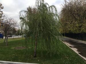 Смартфон Meizu MX6:, фото 22