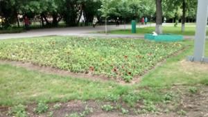 Смартфон Motorola Moto E:, фото 25
