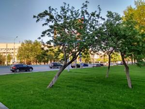 Смартфон Moto G (3rd Generation):, фото 37