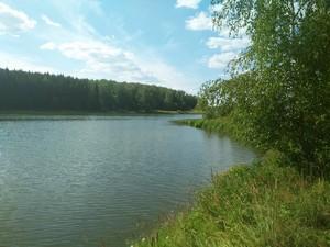 Смартфон OnePlus One:, фото 1