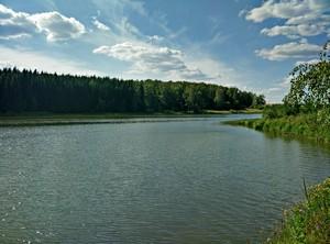 Смартфон OnePlus One:, фото 5