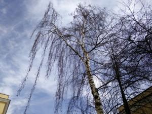 Смартфон Oppo Find 7a:, фото 29