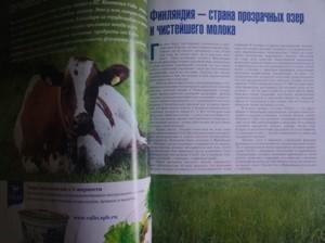 Тестирование смартфона Oppo N1, фото 17