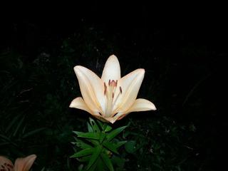 Смартфон Samsung ATIV S:, фото 20