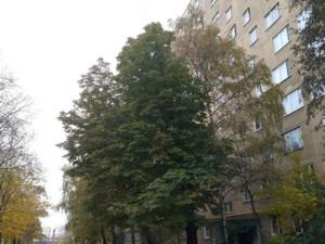 Планшетофон Samsung Galaxy Note 3:, фото 16