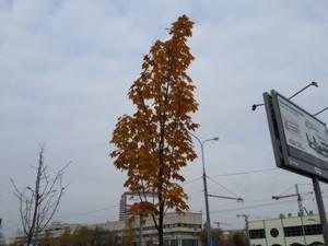 Планшетофон Samsung Galaxy Note 3:, фото 22