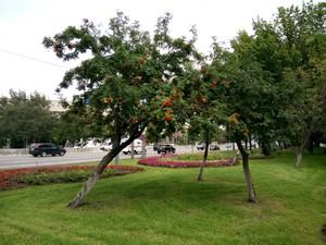 Смартфон Sony Xperia C4:, фото 38