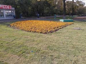 Смартфон Sony Xperia M4 Aqua Dual:, фото 36