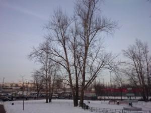 Смартфон Sony Xperia Z1 Compact:, фото 42