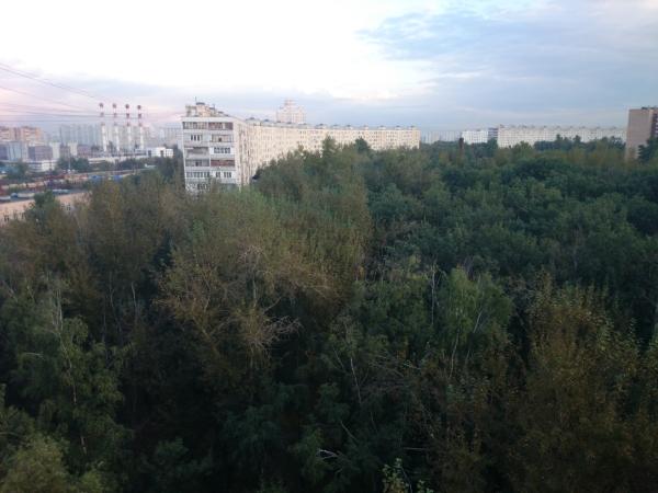 Флагманский смартфон Sony Xperia Z1,, фото 40