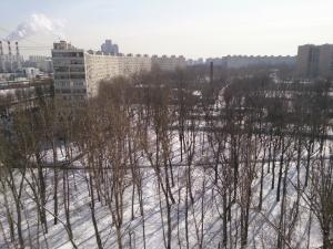 обзор смартфона Sony Xperia ZL